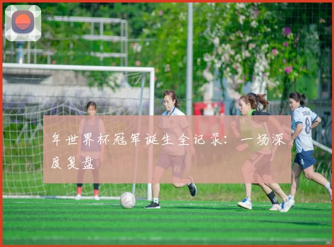 年世界杯冠军诞生全记录：一场深度复盘