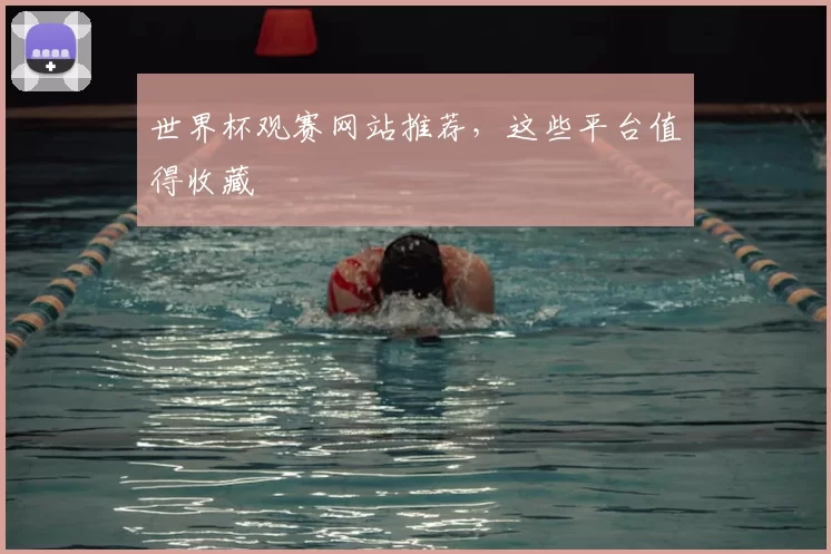 世界杯观赛网站推荐，这些平台值得收藏