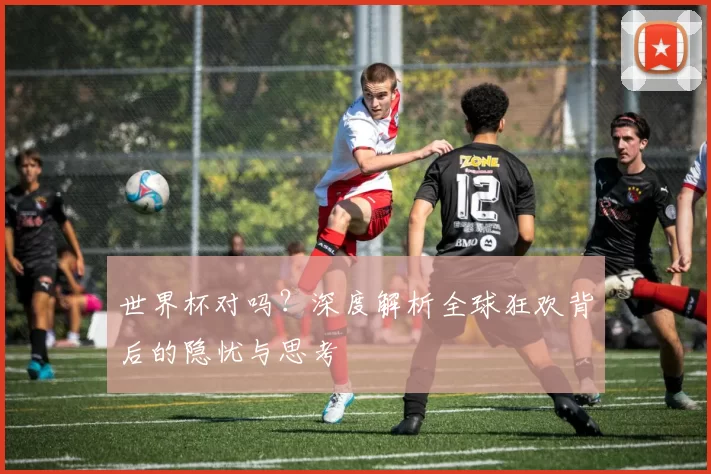世界杯对吗？深度解析全球狂欢背后的隐忧与思考