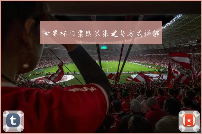 世界杯门票购买渠道与方式详解