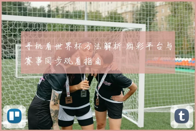 手机看世界杯方法解析 购彩平台与赛事同步观看指南