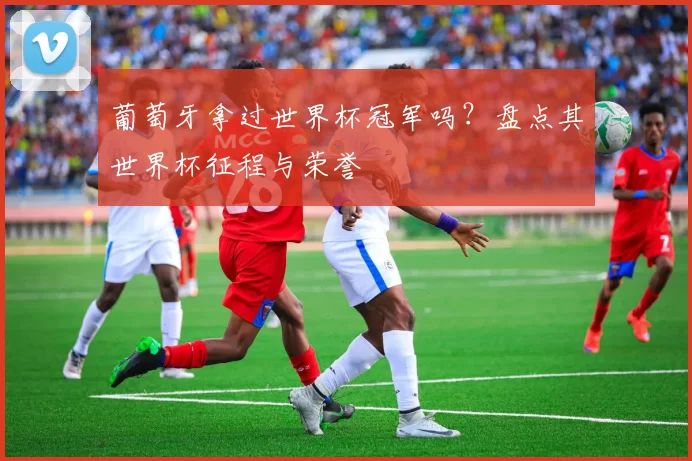 葡萄牙拿过世界杯冠军吗?盘点其世界杯征程与荣誉