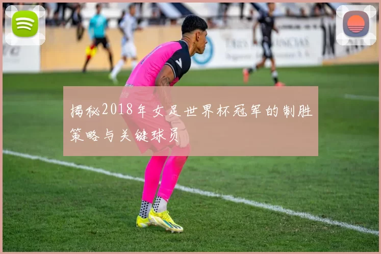 揭秘2018年女足世界杯冠军的制胜策略与关键球员