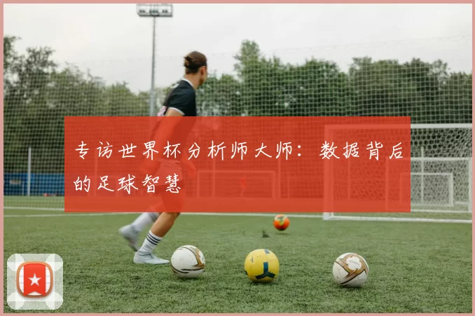 专访世界杯分析师大师:数据背后的足球智慧