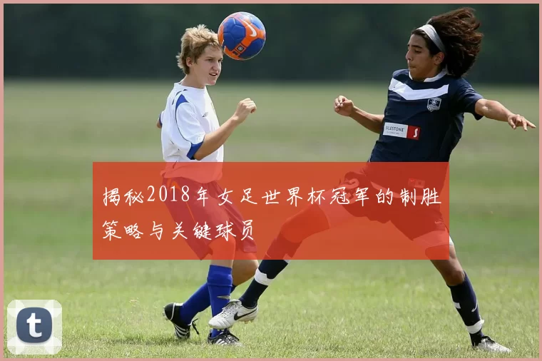 揭秘2018年女足世界杯冠军的制胜策略与关键球员
