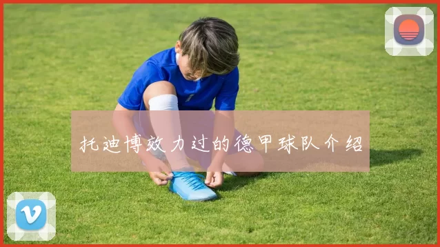 托迪博效力过的德甲球队介绍