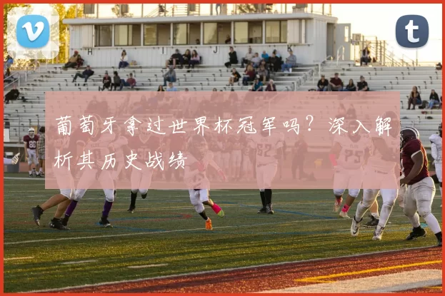 葡萄牙拿过世界杯冠军吗?深入解析其历史战绩