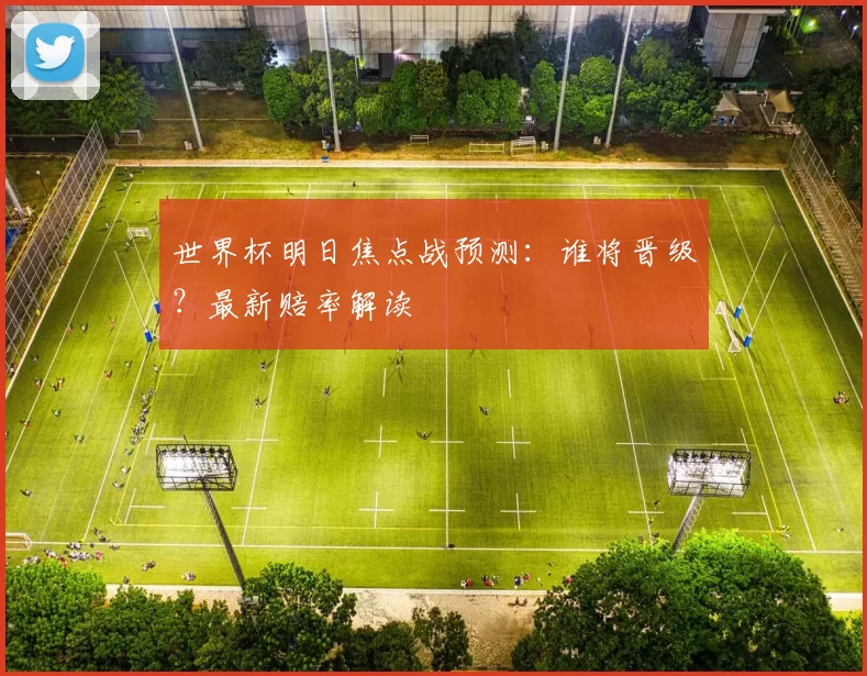 世界杯明日焦点战预测:谁将晋级?最新赔率解读