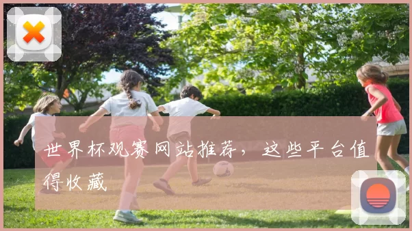 世界杯观赛网站推荐,这些平台值得收藏
