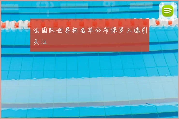 法国队世界杯名单公布保罗入选引关注