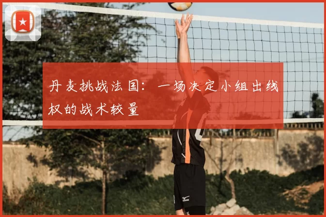 丹麦挑战法国:一场决定小组出线权的战术较量