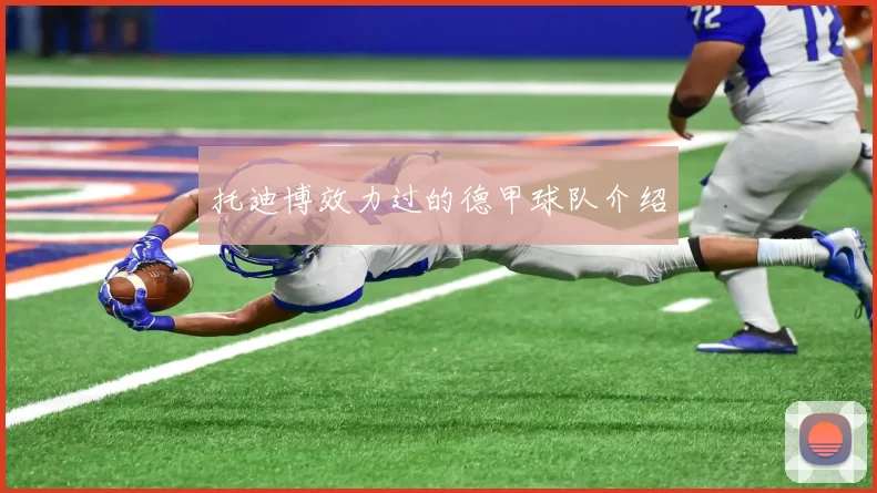 托迪博效力过的德甲球队介绍