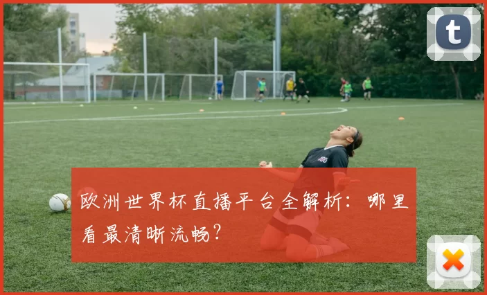 欧洲世界杯直播平台全解析：哪里看最清晰流畅？