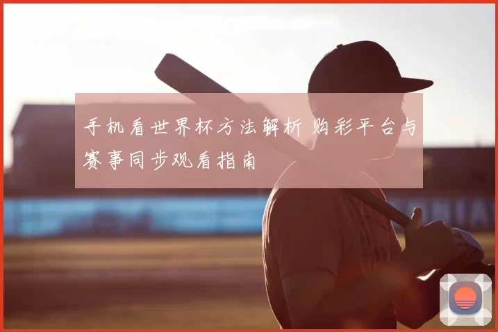 手机看世界杯方法解析 购彩平台与赛事同步观看指南