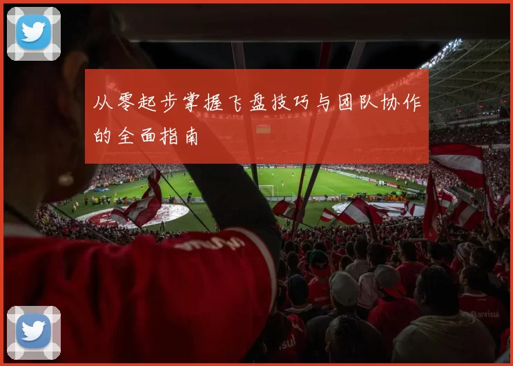 从零起步掌握飞盘技巧与团队协作的全面指南